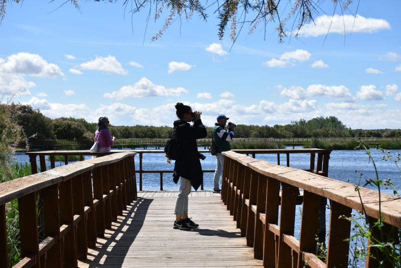Parque Nacional Tablas de Daimiel a 19 de Mayo 2025