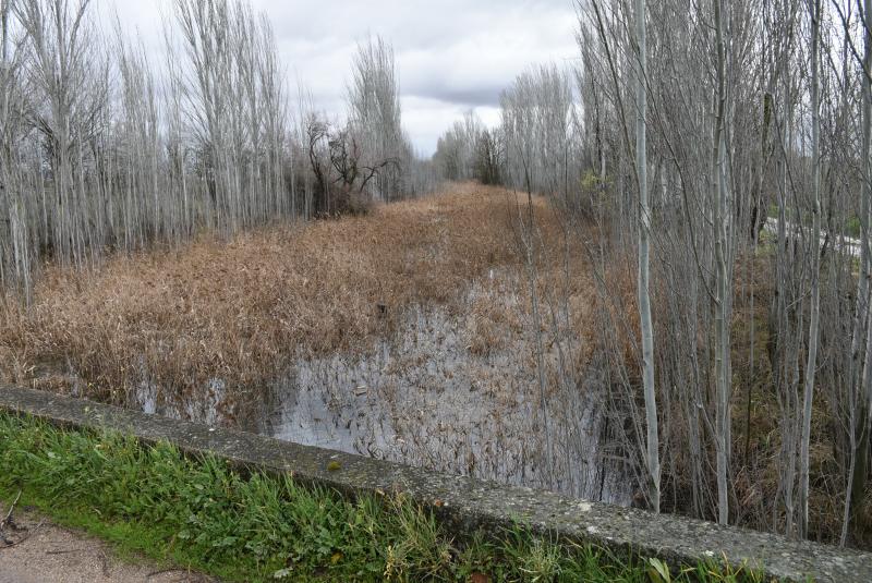 Río Gigüela. Imagen del 18 de marzo