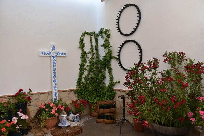Patio daimieleño 2024
