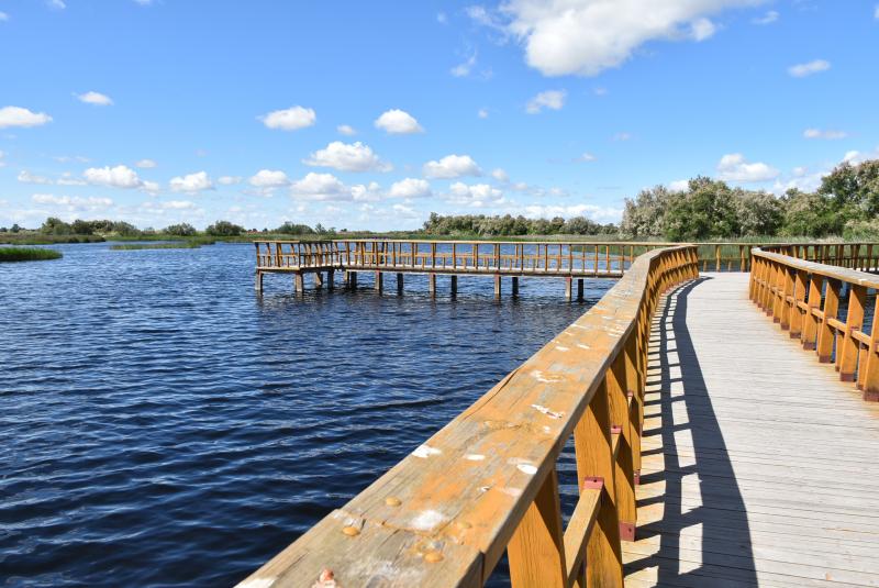 Parque Nacional Tablas de Daimiel a 19 de Mayo 2025