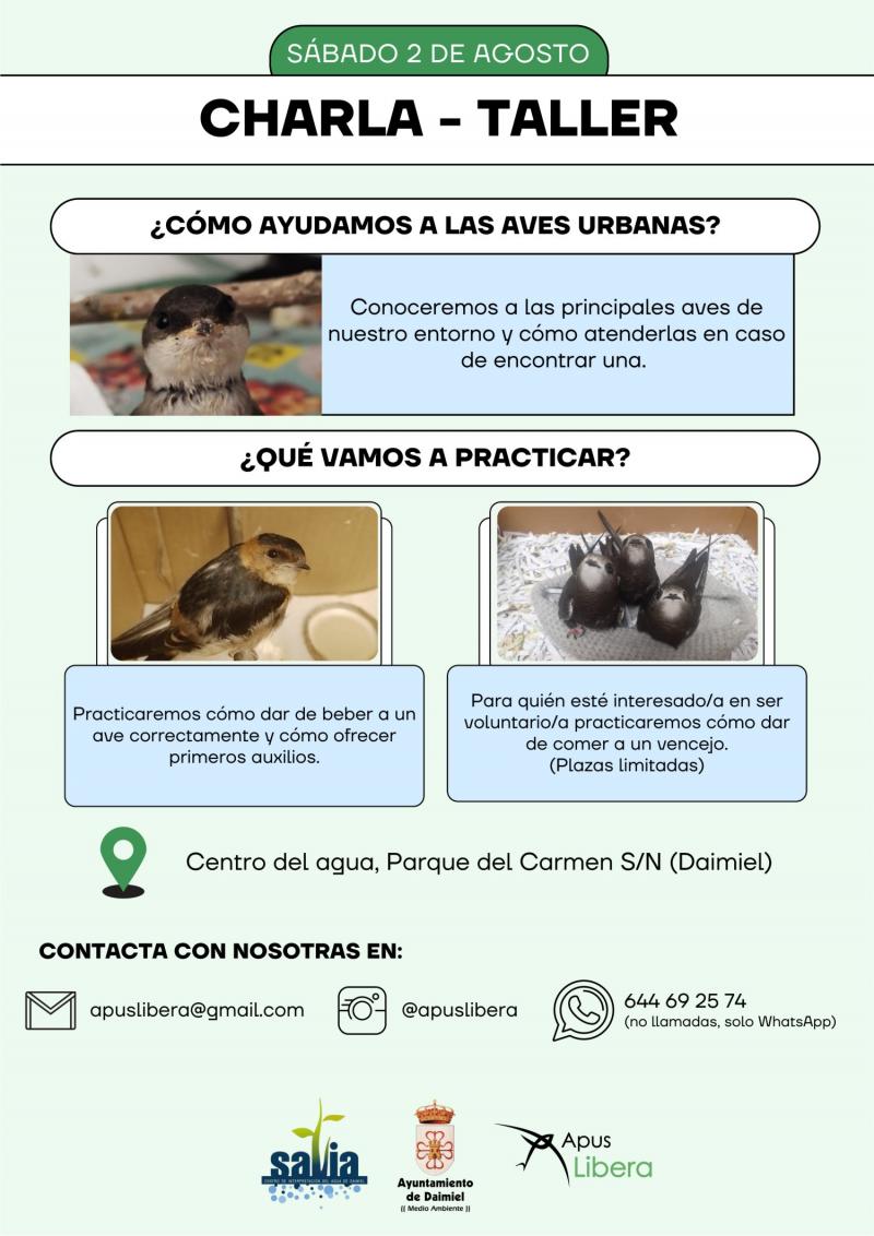 Cartel charla taller aves