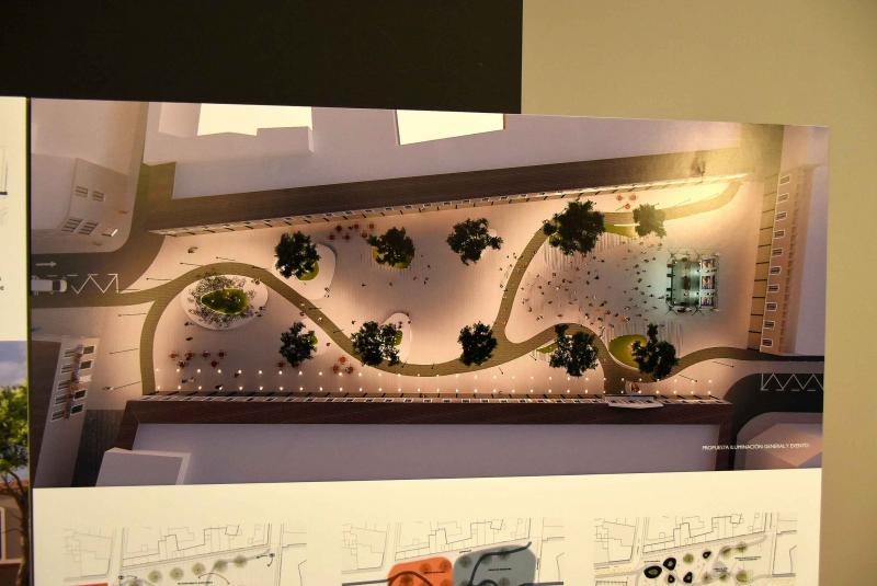 Proyecto 'Plaza de la garza'