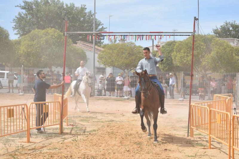 Carrera de cintas 2025