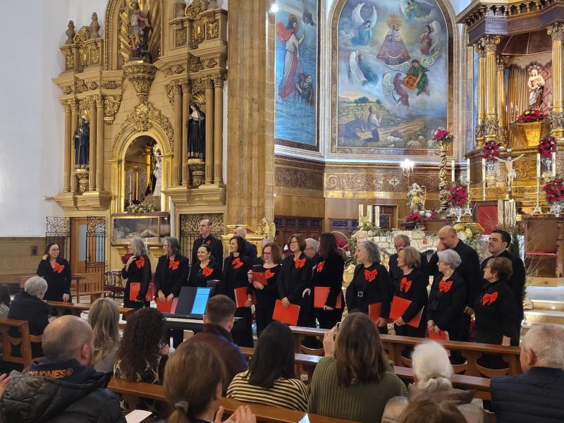 Concierto de Navidad de Laminium