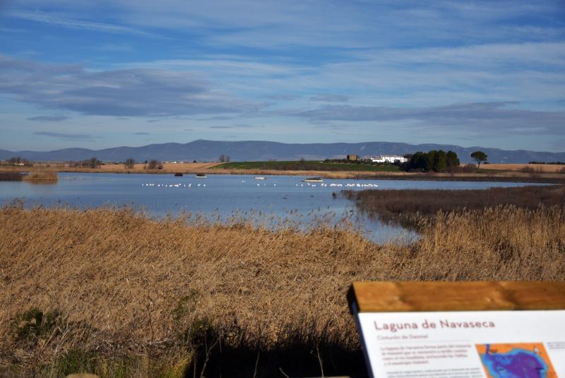 visitas_a_navaseca_escolares_2025_1