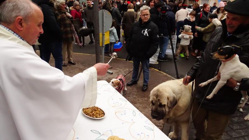 Bendición de mascotas en San Antón 2026.