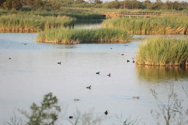 (agencia EFE - Beldad)