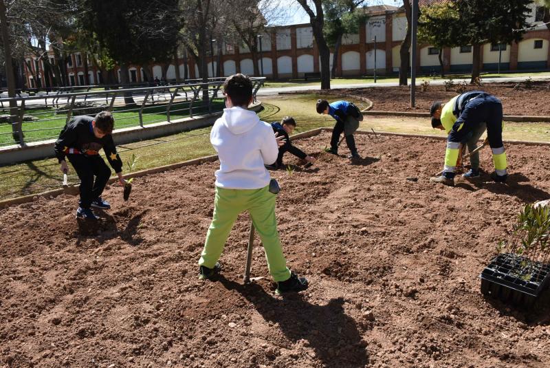 Plantación árboles Parque del Carmen