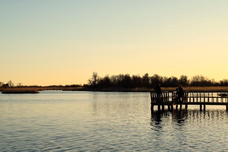 Las Tablas de Daimiel, 15 de marzo 2026