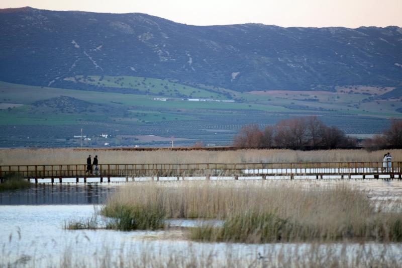 Las Tablas de Daimiel, 15 de marzo 2026