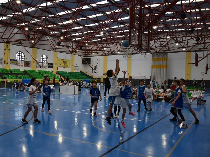 Torneo interescolar baloncesto