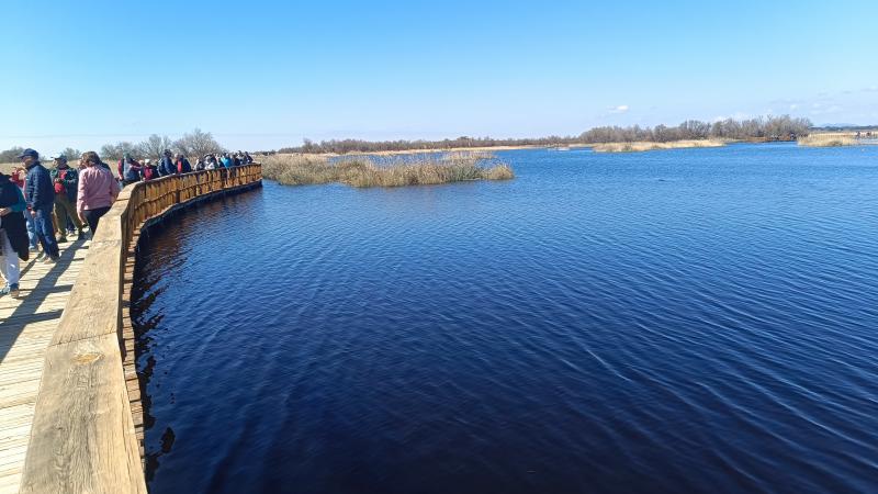 Tablas de Daimiel 22 de marzo