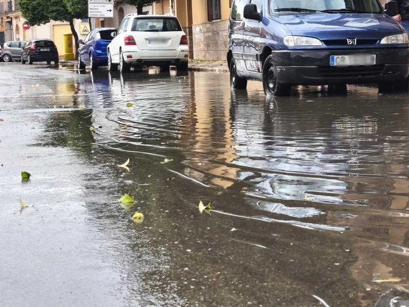 Balsa de agua en Daimiel 