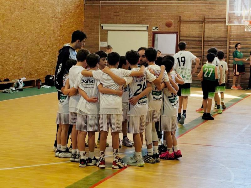 alevín edm cb daimiel
