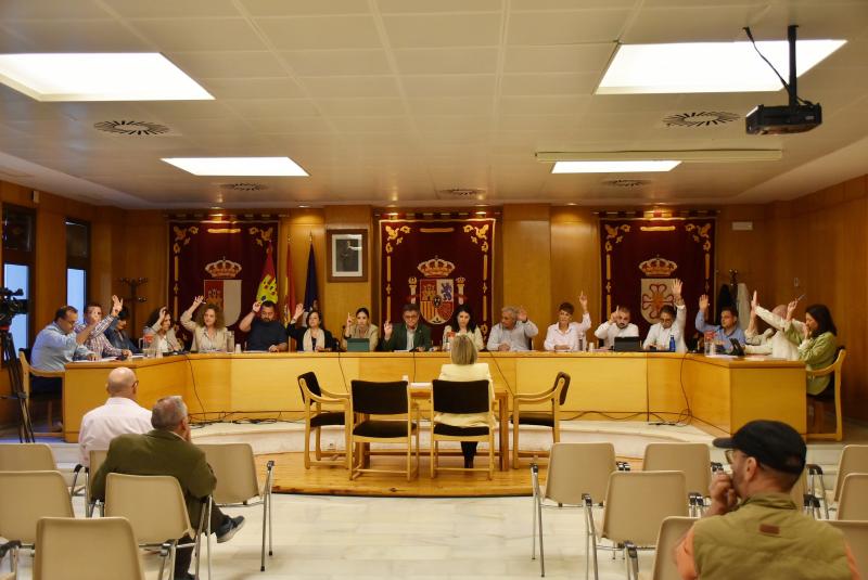Pleno mayo