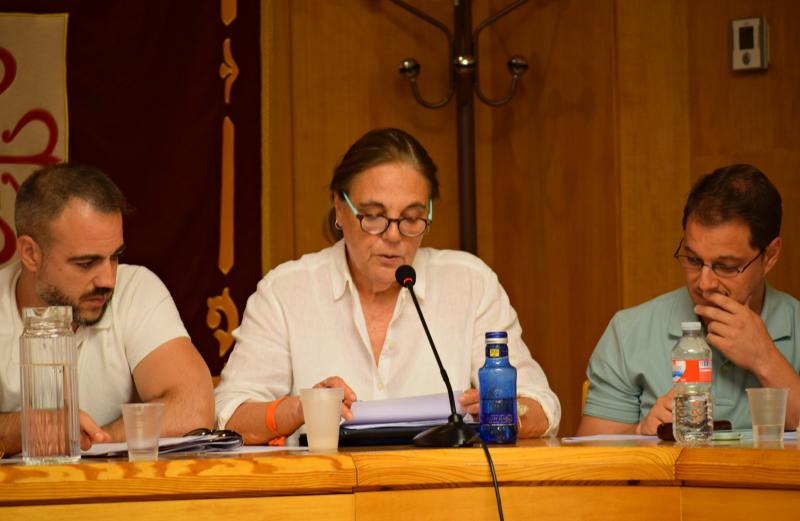 Ortega en el pleno