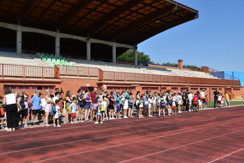 Participantes