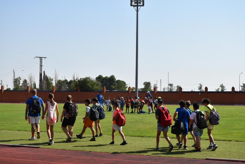 Participantes