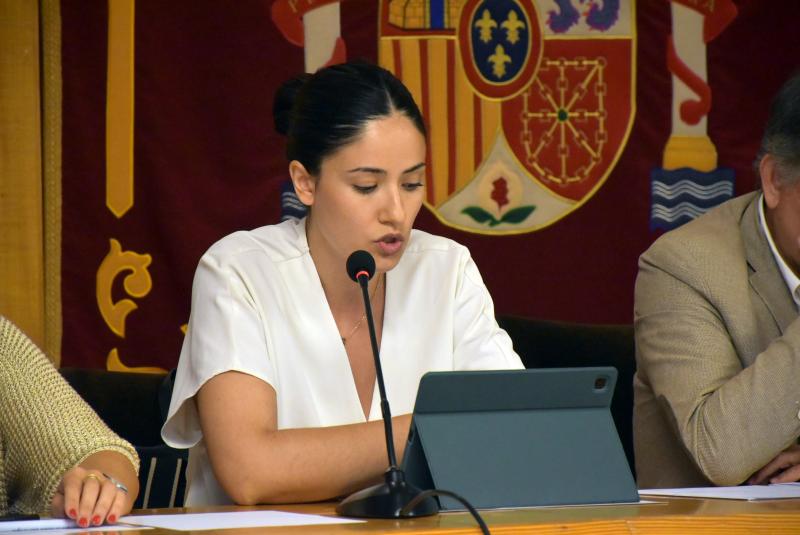 Rodríguez de Guzmán durante el pleno