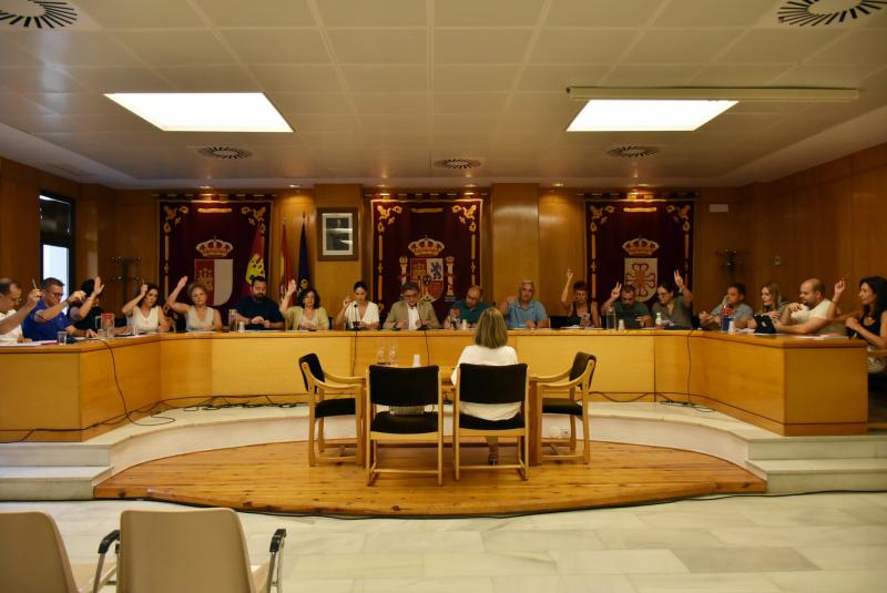 Pleno de julio 