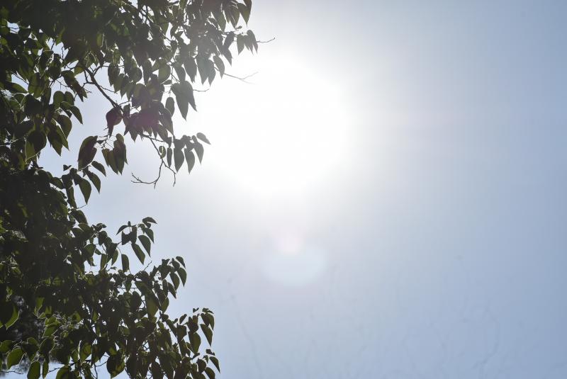 Sol 