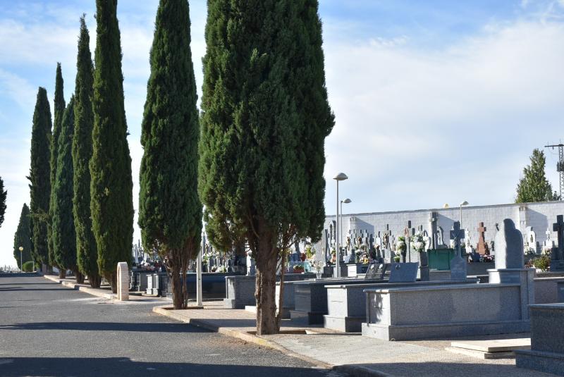 cementerio_5.jpg 