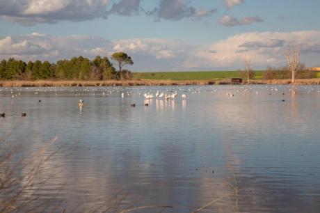 Laguna de Navaseca