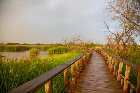 Las Tablas de Daimiel