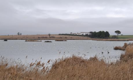 Laguna de Navaseca