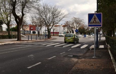 PASO DE CEBRA LUMINOSO