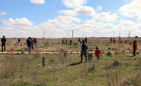 Plantación de árboles en Navaseca