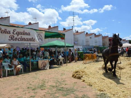 peña equina