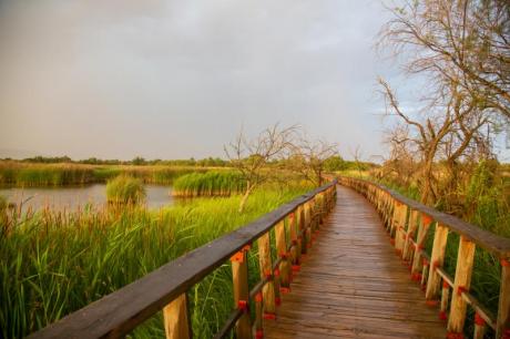 Tablas de Daimiel (foto archivo)