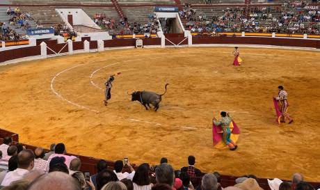 corrida_feria_2022.jpg