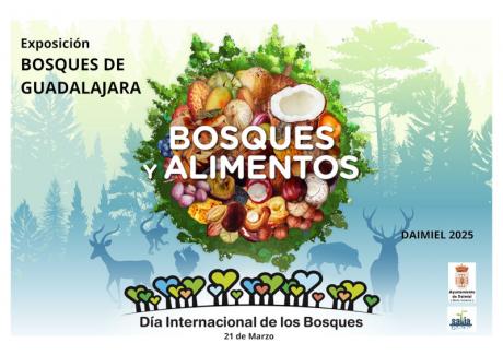 Dia Mundial de los Bosques