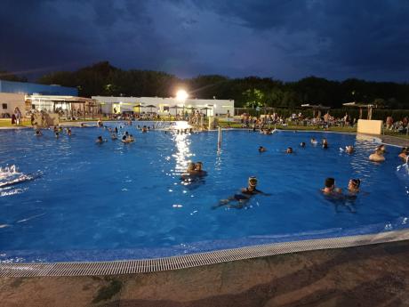 pisci_familias_2_portada.jpeg 
