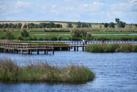 Parque Nacional de las Tablas de Daimiel (Archivo mayo 2025)