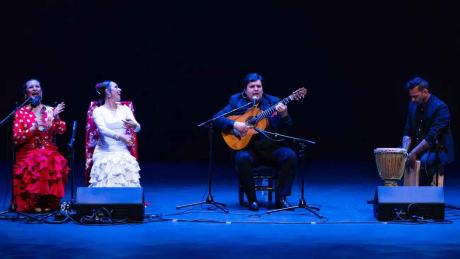 'Navidad Flamenca', de Ricardo Fernández del Moral, en el Teatro Quijano de Ciudad Real