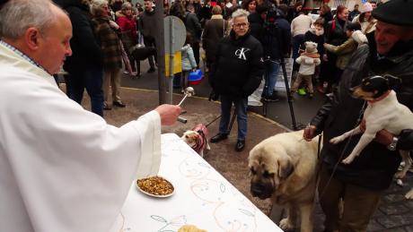 Bendición de mascotas en San Antón 2026.