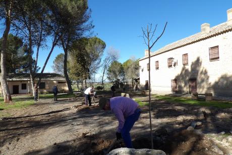 Reforestación en el Santuario de la Virgen de las Cruces.