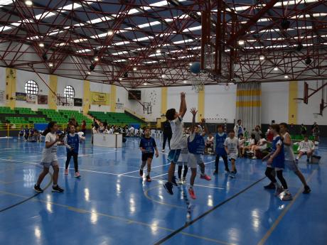 Torneo interescolar baloncesto