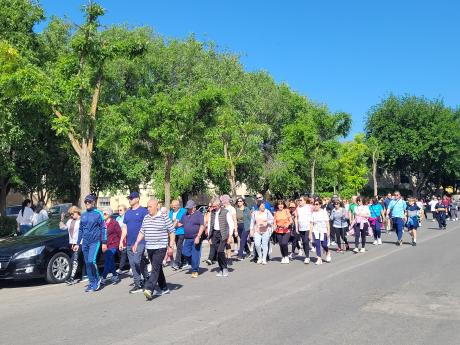 Caminando por la Vida 2026.