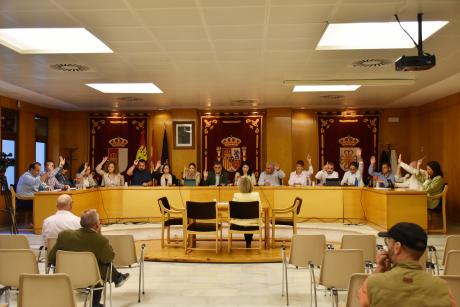 Pleno mayo