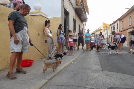 XXV Concurso Simpático Canino ‘Perro de San Roque’.