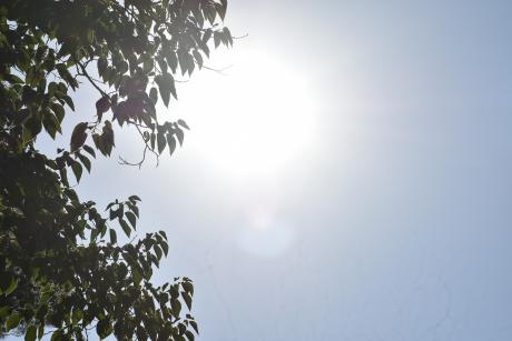 Sol 
