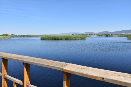 tablas_de_daimiel_mayo_2026_2.jpg 