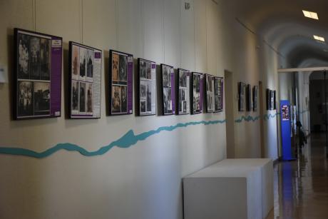 Exposición 