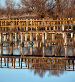 Tablas de Daimiel
