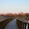 tablas de daimiel_marzo 2023 
