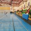 Daimiel Cup Fútbol Sala. Pista y espectadores